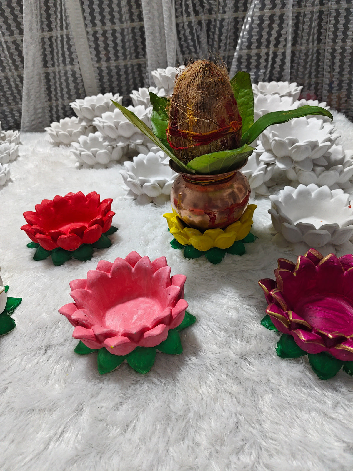 6 inch louts with colour