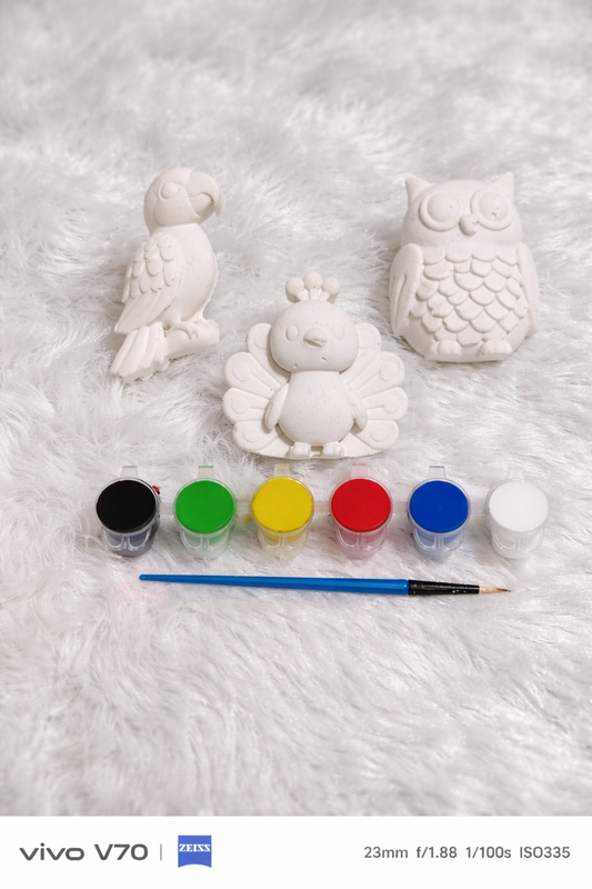 Birds painting kit with magnet